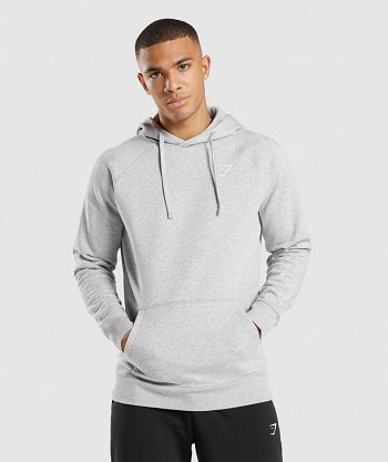 Sudadera Con Capucha Gymshark Crest Hombre Gris Claro | CO 3613SGL